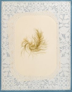 Algues - Eliza A. Jordson