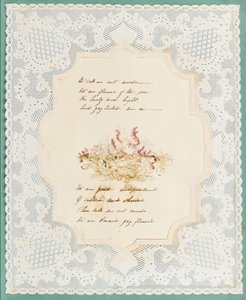 Algues - Eliza A. Jordson