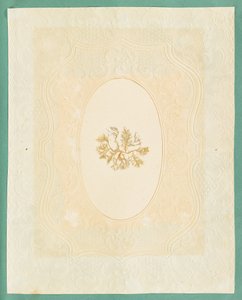 Algues - Eliza A. Jordson