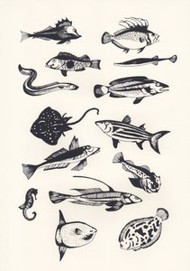 Poisson monochrome