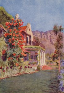 Bignonia grandiflora at Paradise, Claremont (colour litho)