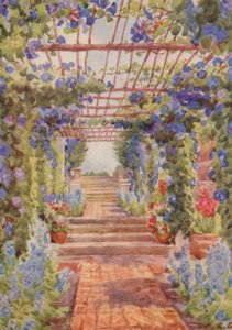 Pergola couverte d