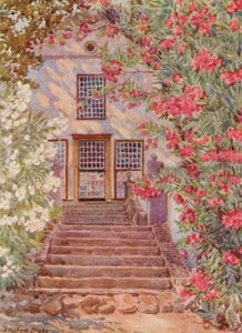 Lauriers roses et blancs, Alphen, Wynberg (lithographie couleur)