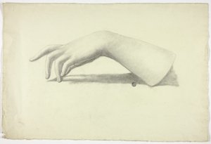 Avant-bras et main gauche - Elizabeth Murray