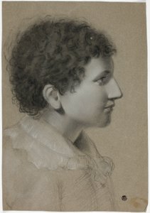 Profil de jeune homme aux cheveux bouclés