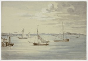 Vue d