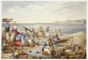 Lavandière à Nice