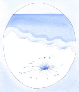 Tout comme la lumière et l