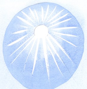 Celui qui est reconnaissant pour le soleil est reconnaissant pour sa chaleur et sa lumière, de même celui qui aime Dieu doit aussi aimer la volonté de Dieu