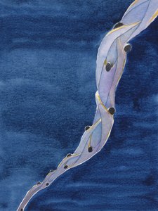 Nos intercessions pour les âmes saintes du purgatoire, au nom de Jésus, sont comme une corde qui les tire vers le ciel - Elizabeth Wang