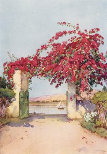 Un jardin à Louxor
