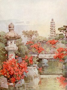 Azalées, Kyoto
