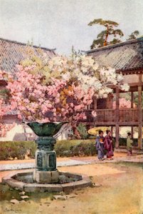 Fleurs de cerisier, temple Chion-in