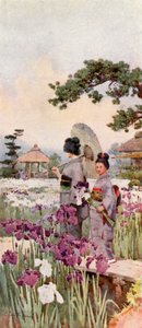 Iris, Horikiri