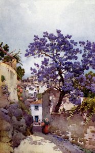 Arbre de jacaranda (lithographie en couleur)