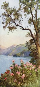 Lago di Lecco, Lago di Como - Ella Du Cane
