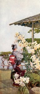 Lilium Auratum - Ella Du Cane