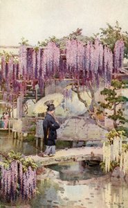 Wistaria, Kabata (lithographie couleur)