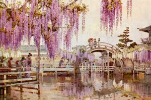 Wistaria, Kameido