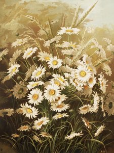 Les marguerites, par Ellen Thayer Fisher