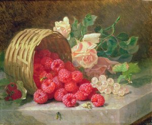 Panier renversé avec framboises et groseilles blanches