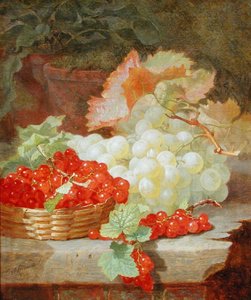 Nature morte