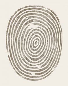 Résumé : Les cernes des arbres
