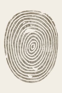 Anneaux concentriques de bois