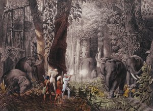 Reise... en Inde Orientale, Ceylan, Java, Chine et Bengale - Emanuel Andrasy
