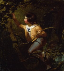 Nidification des oiseaux