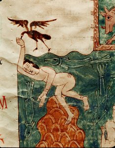 Corbeau ramassant un cadavre - Emeterio the Monk