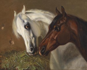 Deux têtes de cheval - Emil Volkers