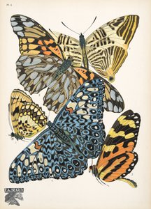 Planche 3, de Papillons, pub. 1925