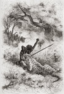 Un léopard attaquant un Africain, illustration de 