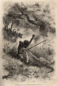 Un léopard saute sur un homme et le mord cruellement dans le dos, dans les environs de Bambare (Congo), gravure d