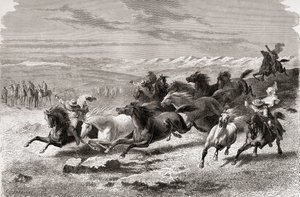 Gauchos argentins rassemblant des chevaux sauvages, illustration de 