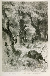 Déroute de l