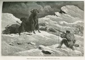 Scène de chasse au yak sauvage, dessin par Emile Bayard pour illustrer le voyage en Mongolie et au pays des Tangoutes de 1870 à 1873, par le lieutenant-colonel Prjewalski. Gravure dans Le Tour du monde - Emile Antoine Bayard