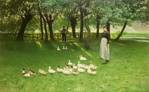 La fille aux canards
