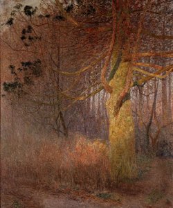  - Emile Claus