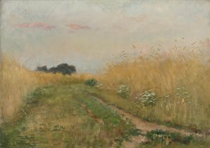 Paysage d