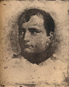 Napoléon, XIXe siècle