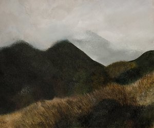 Les sommets brumeux - Emily Tingey