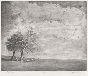 Une lande - Emmanuel Phélippes Beaulieu