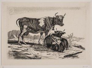 Deux vaches dans un paysage