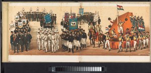 Défilé à Haarlem, 1872 (pl. 12)