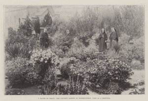 Un havre de paix, le jardin du couvent à Bloemfontein, utilisé comme hôpital - English Photographer