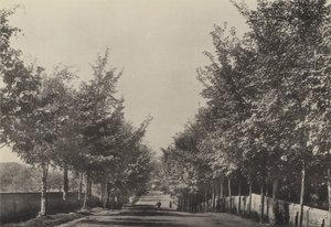 Aldeburgh, Westfields Avenue (photo n/b)