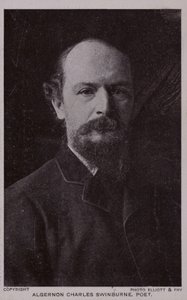 Algernon Charles Swinburne, poète et dramaturge anglais - English Photographer