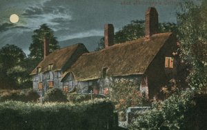Cottage d